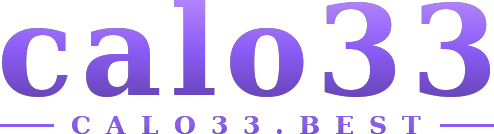 calo33 logo
